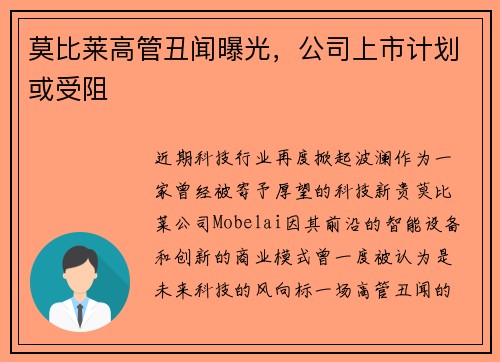 莫比莱高管丑闻曝光，公司上市计划或受阻