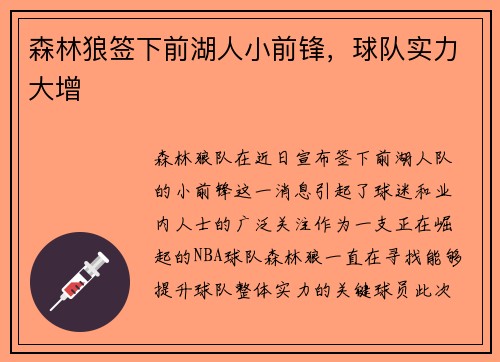 森林狼签下前湖人小前锋，球队实力大增